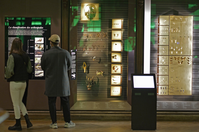 P 2021 06086 MNHN   Jean Christophe Domenech