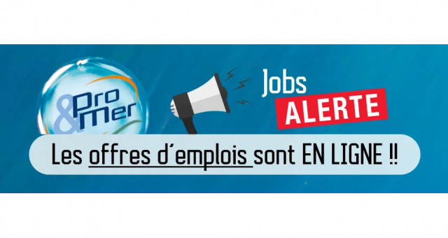 Le salon de l'emploi Pro & mer 2020 se tiendra de façon dématérialisée cette année.